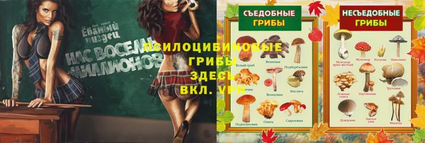стафф Беломорск