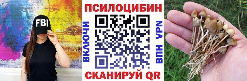 Галлюциногенные грибы прущие грибы  Горно-Алтайск 