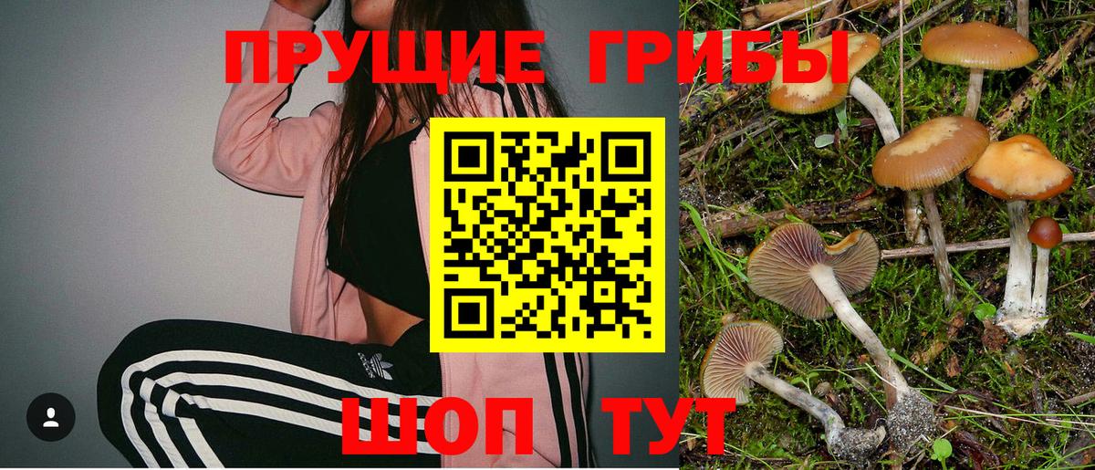 Галлюциногенные грибы мицелий Горно-Алтайск