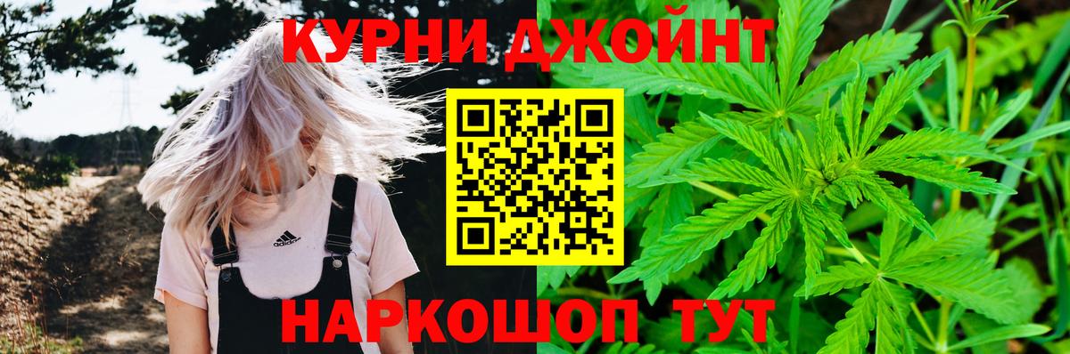 Конопля конопля Горно-Алтайск
